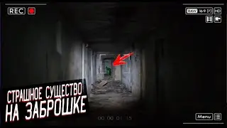 Rake Hunting At Night On The Abandoned| See To The End It's Important