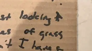 Grasshopper - Free At Last (nightmare lyric video)