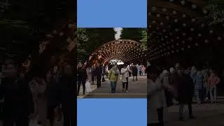 Моя первая песня, которую придумал еще в школе, про любимый парк Сокольники