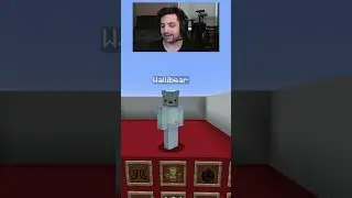 MOB ARENA WITH WALLIBEAR 
