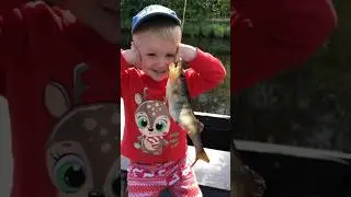 У сына шок! Поймал первый раз окуня-кокуня😂 