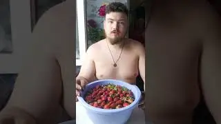 Сбор за день клубники 