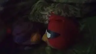 НОВОГО ГОДА НЕ БУДЕТ НОВЫЙ ГОД БУДЕТ. НЕ БУДЕТ! БУДЕТ! НЕ БУДЕТ! БУДЕТ НЕ БУДЕТ