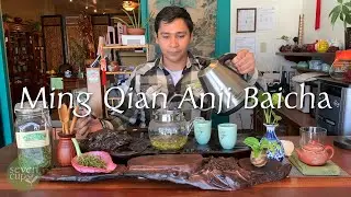 Ming Qian Anji Baicha - A Spring 2021 Green Tea Packed with Amino Acids