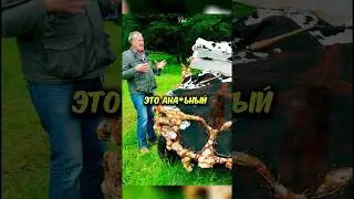ЭКОЛОГИЧНЫЕ АВТОМОБИЛИ🤣