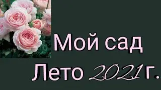 Мой сад. Лето 2021 г.
