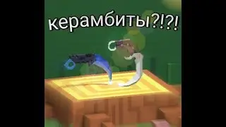 Wow flippy knife amazing!!!!!