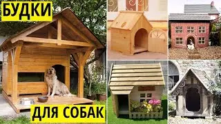 Будки из дерева для собак своими руками - Идеи оригинального дизайна