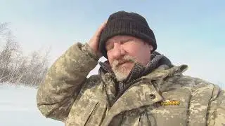 Кормим  птиц..и  едем  на  озеро..