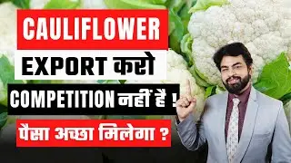 How to Export Cauliflower From India | No Competition and High Profit Margin | By Harsh Dhawan