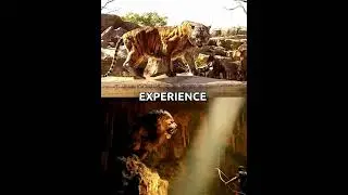 SHERHAR VS NEMEAN LION