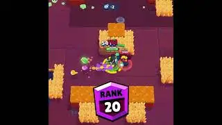 Kit Rank 1 to Rank 35 (No Teaming) in under 24h