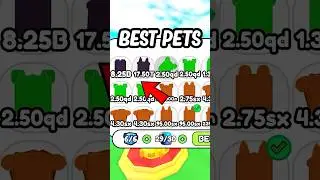 I BEAT Board Break Simulator With BEST PETS..