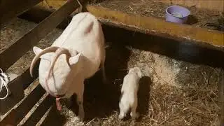 Ура Свершилось!У нас пополнение!