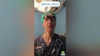 Секвестр рогівки у котика - як проходить операція