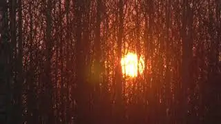 30 апреля 2021 #47 Обход охот угодий,проверка наличия живности