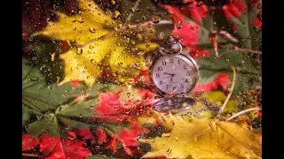 Виктор Бекк Не спешите года