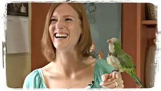 ПРИКОЛЫ С ПОПУГАЯМИ, приколы с животными | FUNNY PARROTS, fun with aniamls 