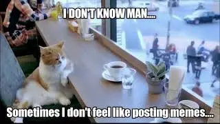 i don't know man... sometimes i don't feel like posting memes