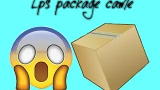 Trade Package came from LPS Kawaiii !!!!!!!