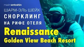 Sharm El Sheikh. Reef snorkeling at Renessance Golden View Beach Resort