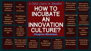 How to incubate an innovation culture? | Crash course on innovation part 19