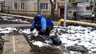 Подошли к делу «со всей ответственностью»: в благоустраиваемых дворах в Аршинцево высаживают цветы