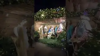 Вот  такая красота в нашем храме на Рождество