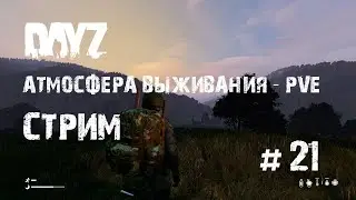 DayZ. Атмосфера Выживания - PVE. В поисках автомобиля. #21.