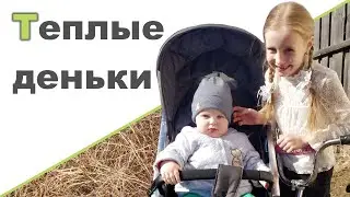 НАЧИНАЕМ ДВОРОВЫЕ РАБОТЫ ♥ Покупки для дома ♥ Поделка, готовка
