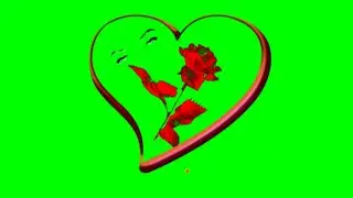 Dil Roj green screen video effect