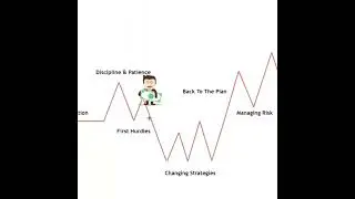 Who makes the most money trading? #NDS #forextradingstrategies #forextips