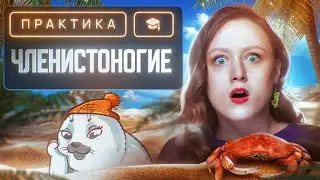 Членистоногие | ЕГЭ-2025 по биологии