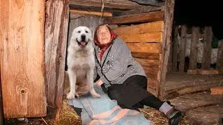 Сын по приказу невестки отправил мать томиться в глуши подальше от дома. Он её даже не навещал