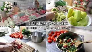 ЗАГОТОВКИ НА ЗИМУ 🍅🌽🥦Заморозка овощей зелени ягод на всю зиму❄️ Реальная экономия денег✅️
