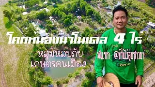 โคกหนองนา โมเดล 4 ไร่ หลุมหลบภัยเกษตรคนเมือง หนองแซง สระบุรี โดยพี่แขก @บ้านไร่อุ่นชาวนา by MrTORUNG