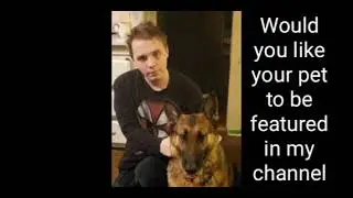 Win a Dog Training Free session with me #dogtraining