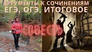 Тема "Совесть" - аргументы к сочинениям: 6+3!