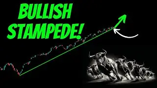 BULLISH STAMPEDE Coming!