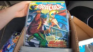 TOMB OF DRACULA COMIC BOOK COLLECTION FOUND / HUNTING VLOG