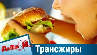 В чём опасность трансжиров. “Доктор И“