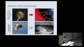 Anette Hosoi: From Razor Clams to Robots: The Mathematics Behind Biologically Inspired Design