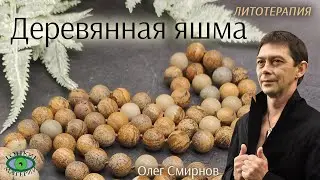 💎 Деревянная яшма свойства. Литотерапия. Олег Смирнов
