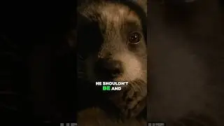 James Gunn On Why Guardians of the Galaxy Is Heartbreaking