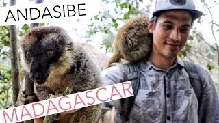 Madagascar: Andasibe, Analamazaotra, Mantadia and Antananarivo. How to travel around?