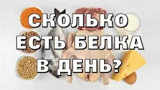 Сколько надо есть белка? Нормы потребления белков.