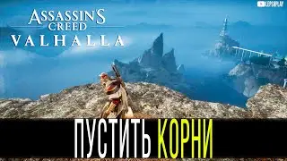 Найдите корень горы в Assassin's Creed Valhalla, загадки Ивальди, пустить корни