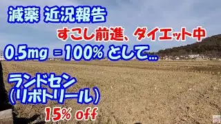 【減薬】 ランドセン（リボトリール） 15％ off 【デプロメール断薬 ..😄】　　／ パニック障害、うつ、SSRI　　　／ 0.5mg=100%として　　2024年6月27日