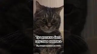 А о чем грустите Вы?