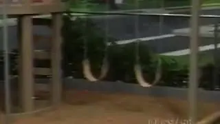 Going Places! Short Credits PBS (1995)